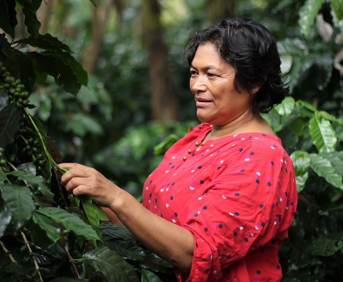 Tropical Honey - Lady Love Coffee